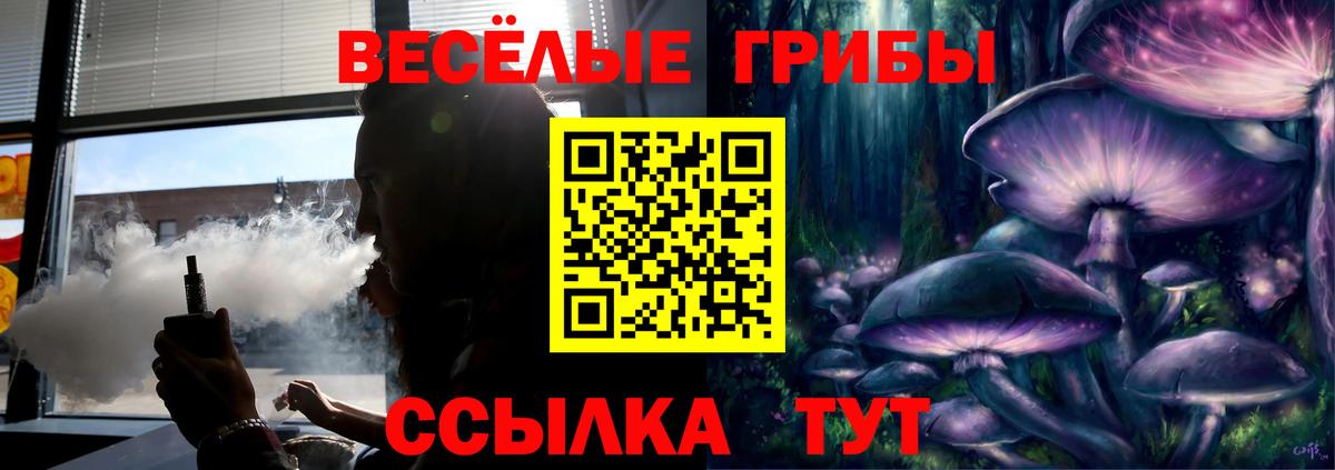 Псилоцибиновые грибы MAGIC MUSHROOMS Котельники