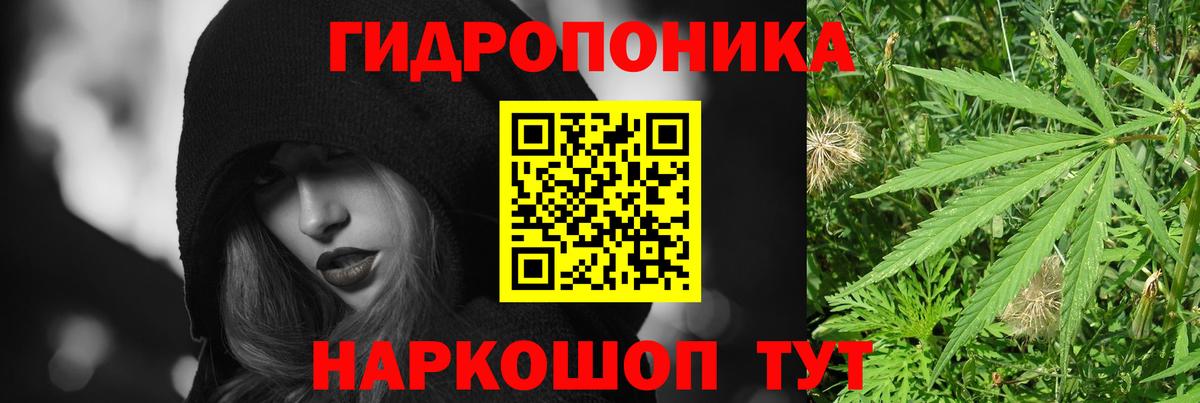 Котельники  Бошки марихуана конопля  Каннабис Amnesia  Каннабис семена  Вход с VPN 